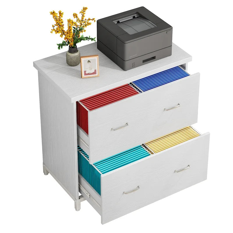 2-Drawer Lateral File Cabinet, Letter Size, Home Office Storage