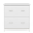 2-Drawer Lateral File Cabinet, Letter Size, Home Office Storage