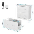 2-Drawer Lateral File Cabinet, Letter Size, Home Office Storage